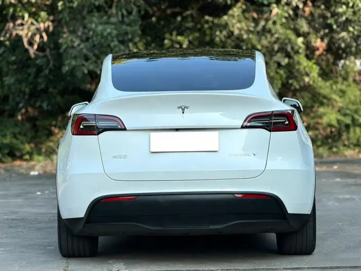 Model Y 2021 Model Standard Battery Life Rear-wheel drive version – фото 6