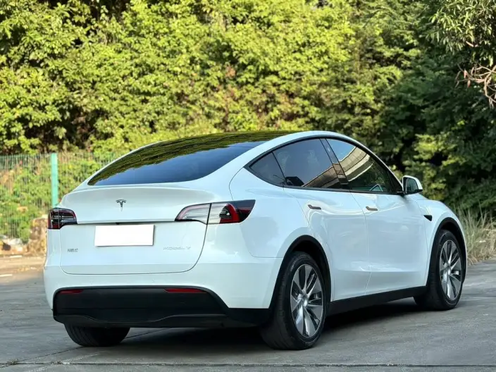 Model Y 2021 Model Standard Battery Life Rear-wheel drive version – фото 7