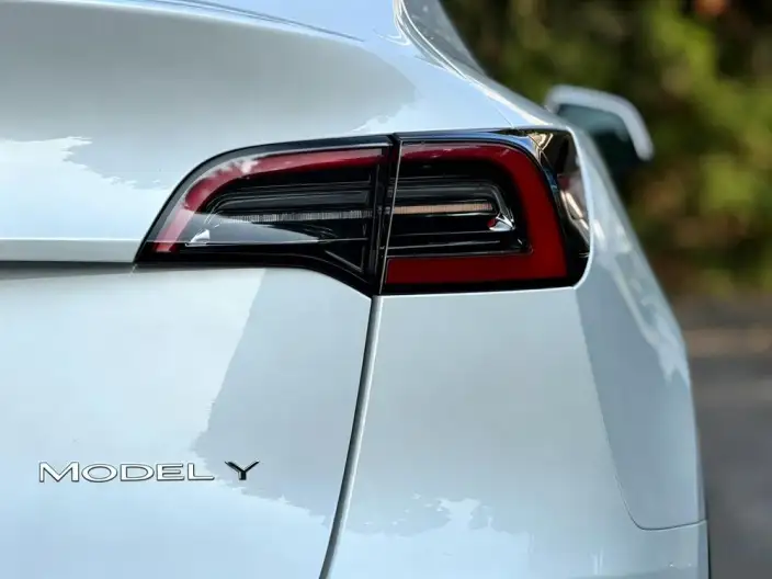Model Y 2021 Model Standard Battery Life Rear-wheel drive version – фото 9