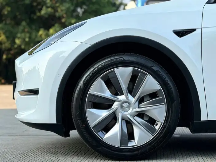 Model Y 2021 Model Standard Battery Life Rear-wheel drive version – фото 10