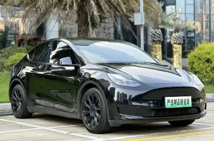 Model Y 2022 Model Rear-wheel drive version