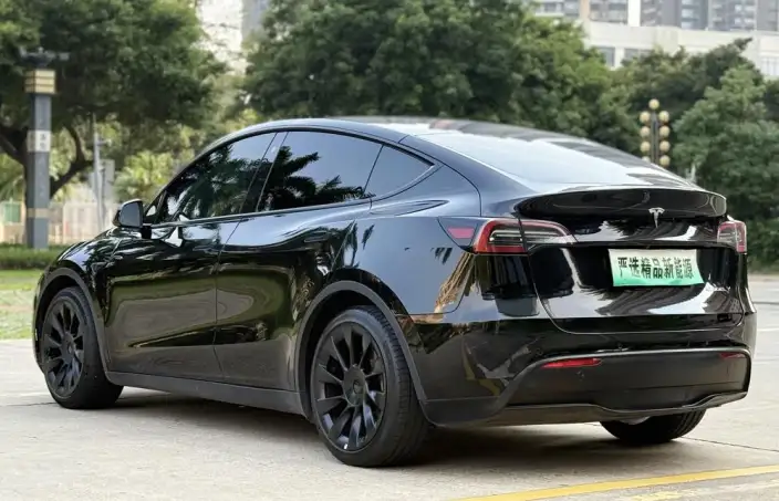 Model Y 2022 Model Rear-wheel drive version – фото 5