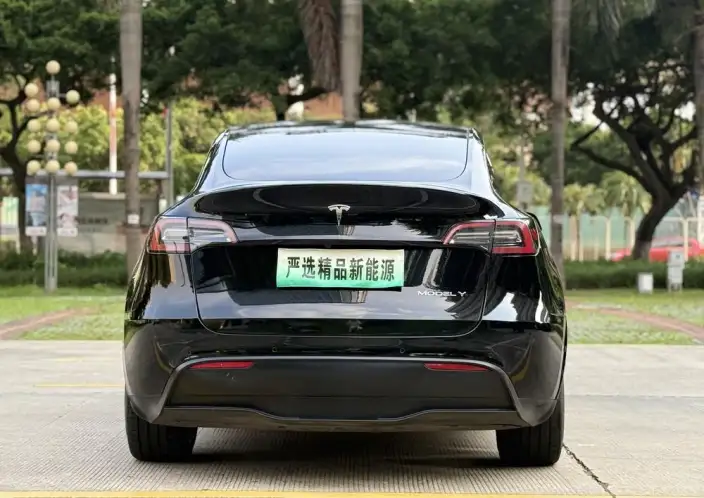 Model Y 2022 Model Rear-wheel drive version – фото 6