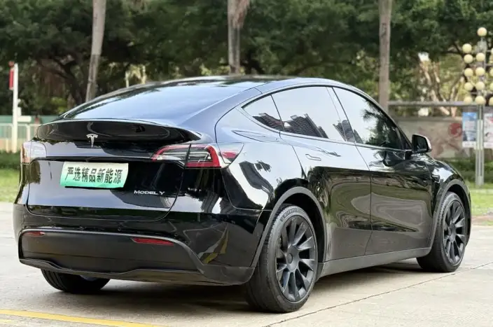 Model Y 2022 Model Rear-wheel drive version – фото 7