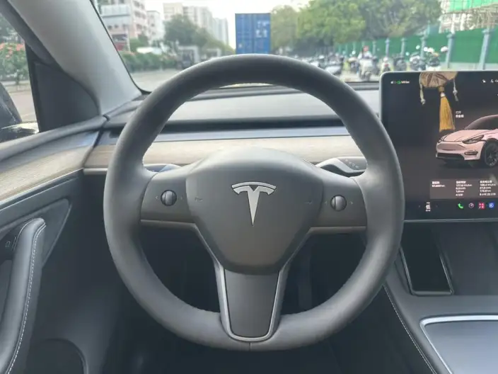 Model Y 2022 Model Facelift Rear-wheel drive version – фото 9
