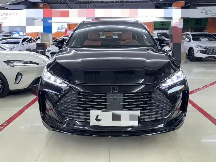 BYD Tang DM 2025 Model Smart Driving Edition DM-i 175KM Zunrong Model – фото 2