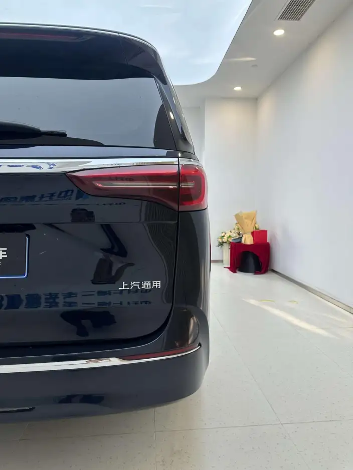 Buick GL8 2023 Model ES Luzun 2.0T Luxury Model – фото 8