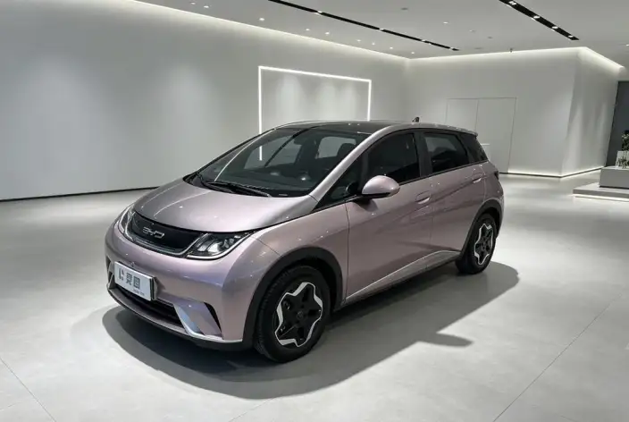 BYD Dolphin 2021 Model Fashion Edition – фото 1