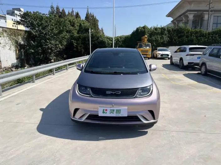 BYD Dolphin 2021 Model Fashion Edition – фото 2