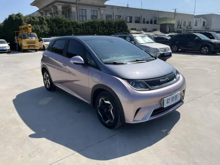 BYD Dolphin 2021 Model Fashion Edition – фото 3
