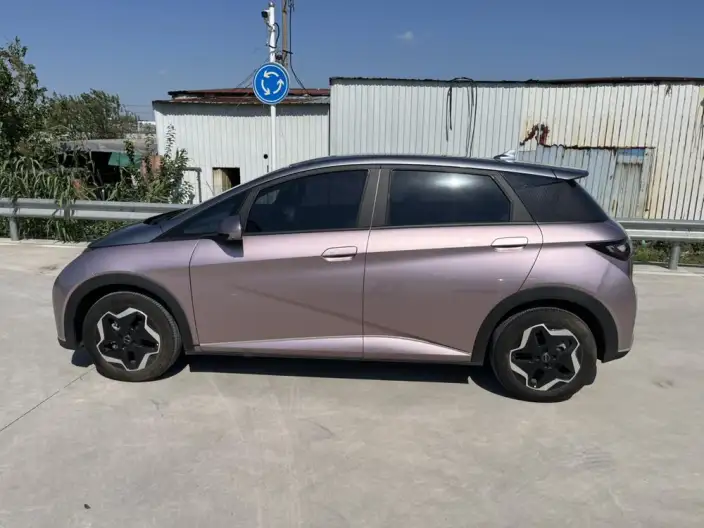 BYD Dolphin 2021 Model Fashion Edition – фото 4