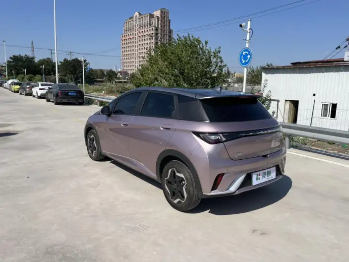 BYD Dolphin 2021 Model Fashion Edition – фото 5