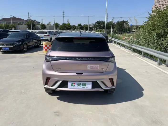 BYD Dolphin 2021 Model Fashion Edition – фото 6