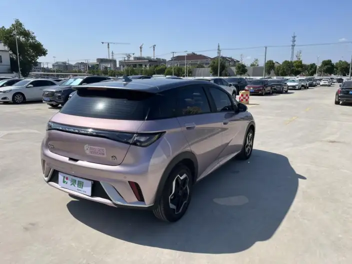 BYD Dolphin 2021 Model Fashion Edition – фото 7