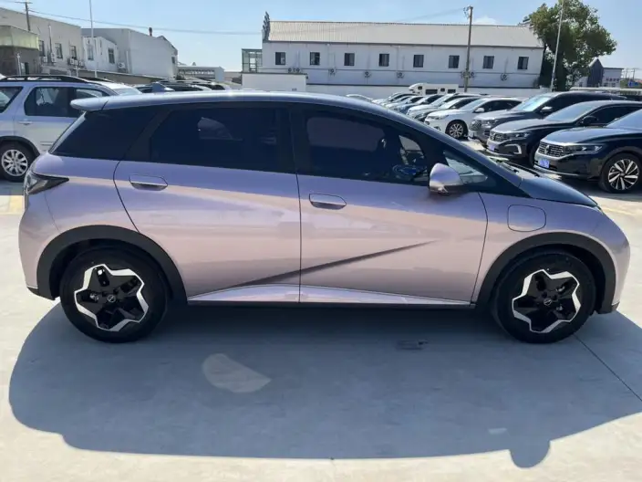 BYD Dolphin 2021 Model Fashion Edition – фото 8