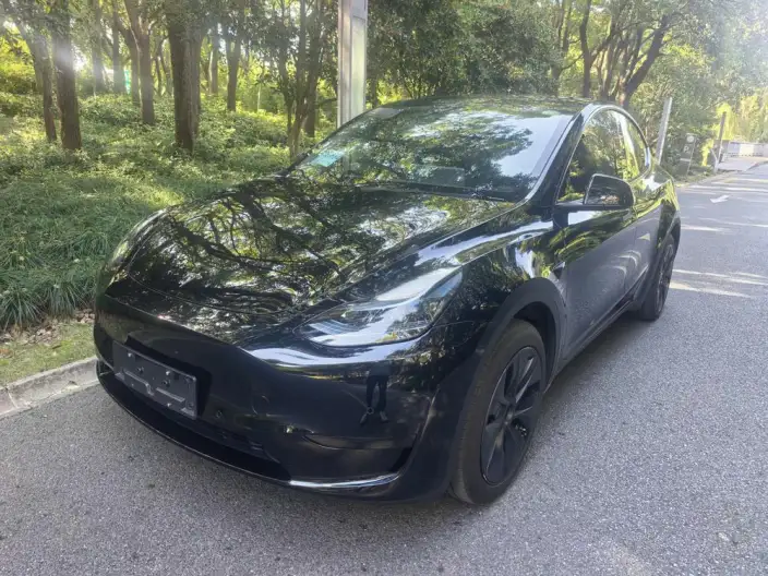 Model Y 2023 Model Rear-wheel drive version