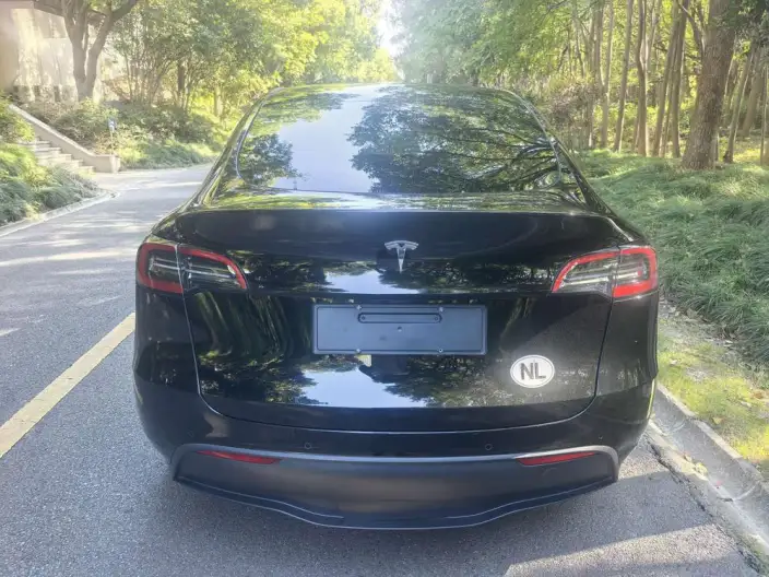 Model Y 2023 Model Rear-wheel drive version – фото 5
