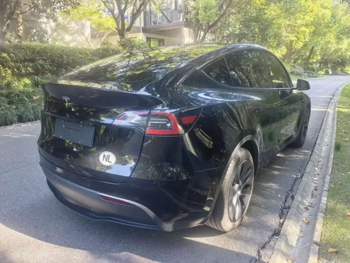 Model Y 2023 Model Rear-wheel drive version – фото 6