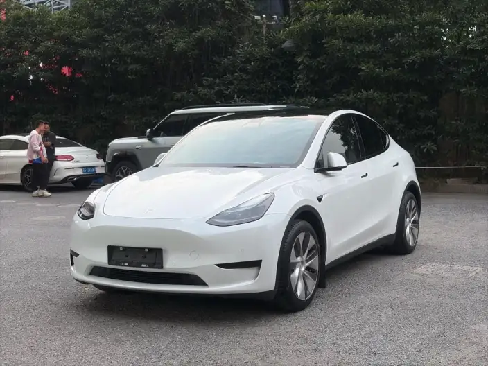 Model Y 2022 Model Facelift Rear-wheel drive version