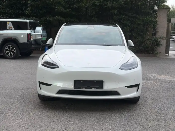 Model Y 2022 Model Facelift Rear-wheel drive version