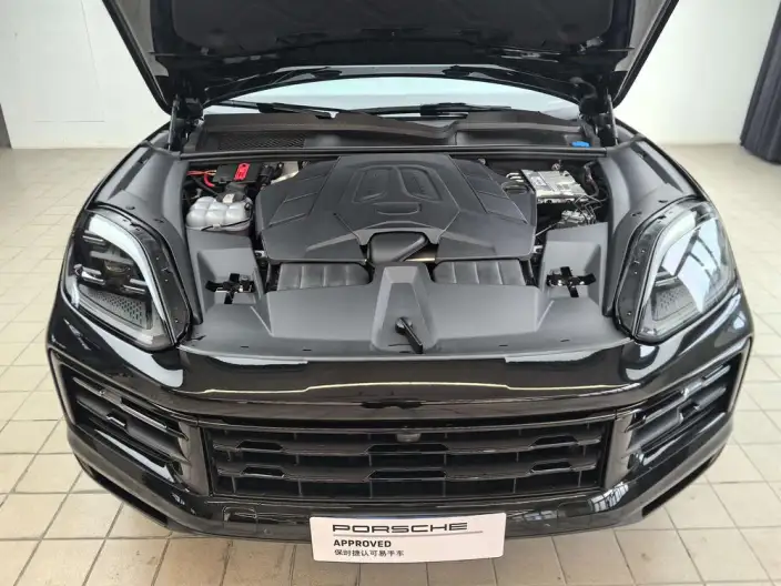 Cayenne 2026 Model Cayenne 3.0T Dream Edition – фото 8