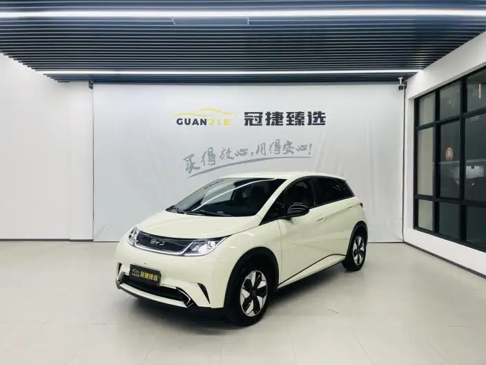 BYD Dolphin 2025 Model 420KM Free Edition