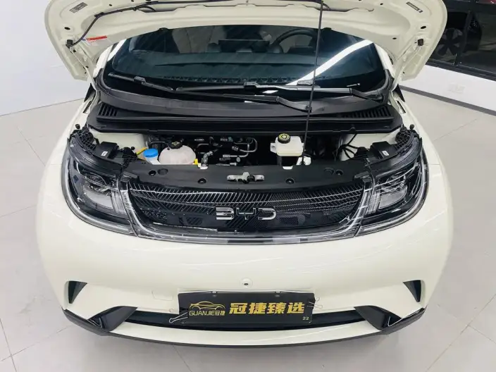 BYD Dolphin 2025 Model 420KM Free Edition