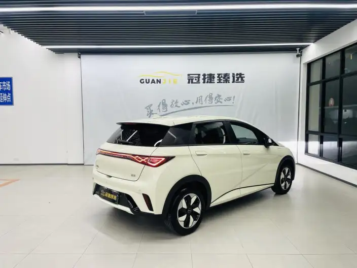 BYD Dolphin 2025 Model 420KM Free Edition