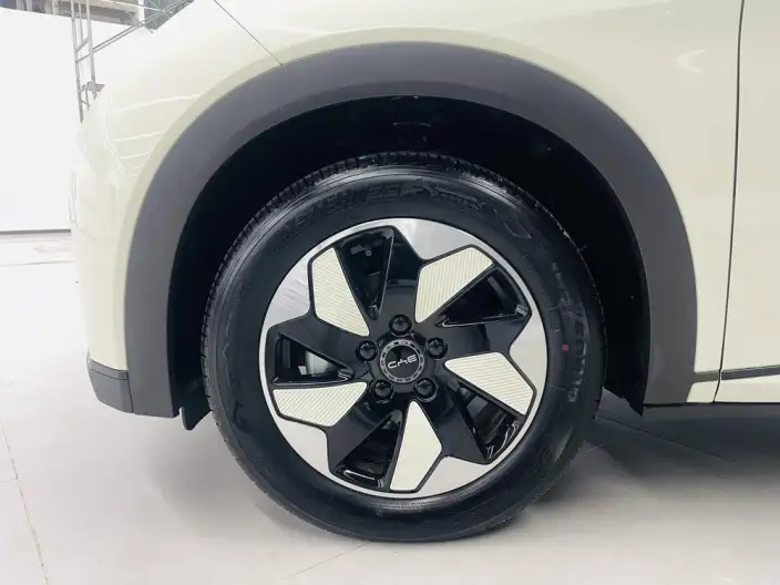 BYD Dolphin 2025 Model 420KM Free Edition