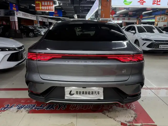 BYD Han DM 2022 Model DM-i 121KM Exclusive Model – фото 5