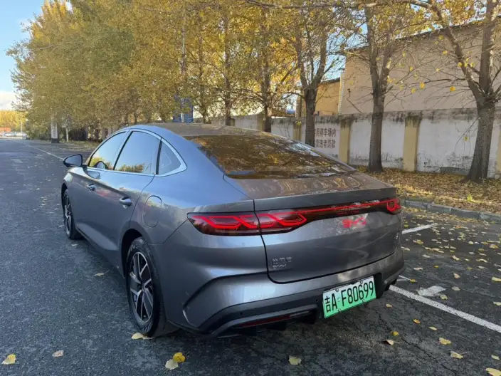 QinL DM 2024 Model DM-i 120KM Leading Model
