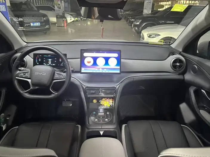 Haise 05DM 2025 Model DM-i 75KM Noble Model – фото 7