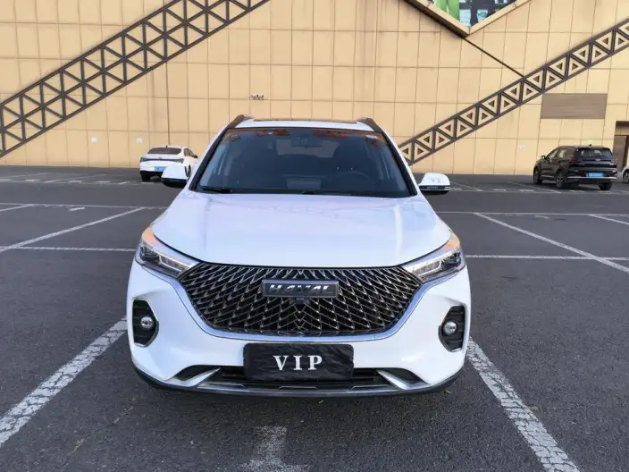 Haval M6 2021 Model PLUS 1.5T Manual Luxury Smart Connect Model – фото 2