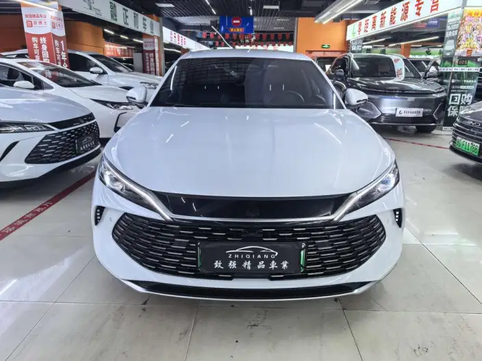 QinL DM 2025 Model Smart Driving Edition DM-i 80KM Leading Model
