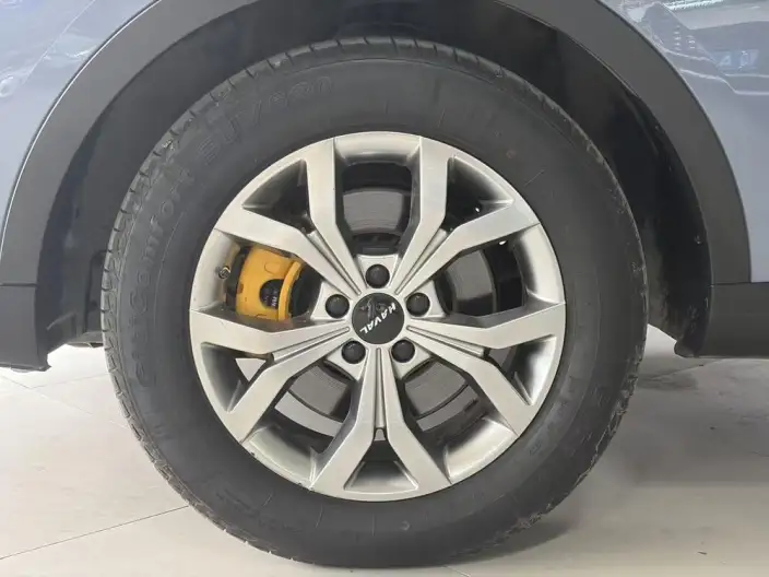 Haval H6 2021 Model Guo Trendy Edition 1.5T Automatic Champion Edition – фото 5