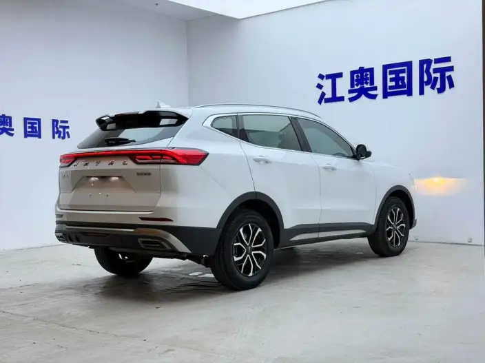 Haval H6 2021 Model Guo Trendy Edition 1.5T Automatic Urban Edition – фото 6