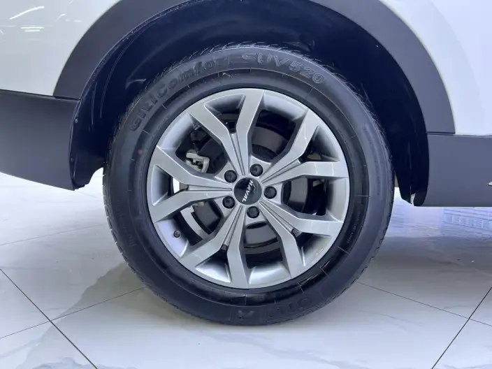 Haval H6 2023 Model Guo Trendy Edition 1.5T Automatic Champion Edition – фото 7