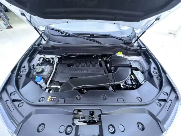 Haval H6 2023 Model Guo Trendy Edition 1.5T Automatic Champion Edition – фото 8