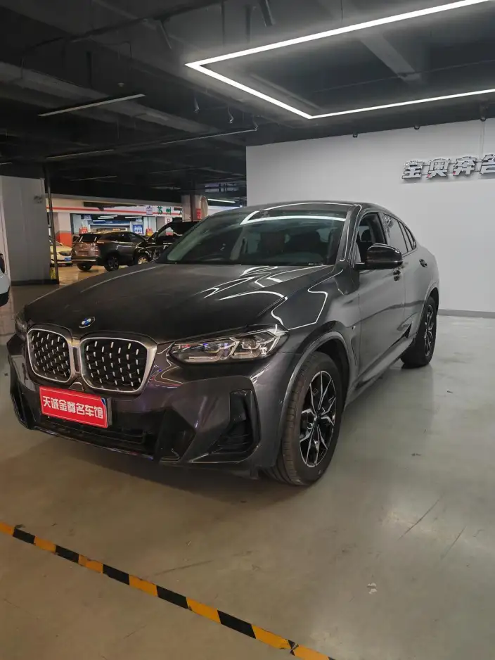 BMW X4 2022 Model xDrive 25i M Sports Set