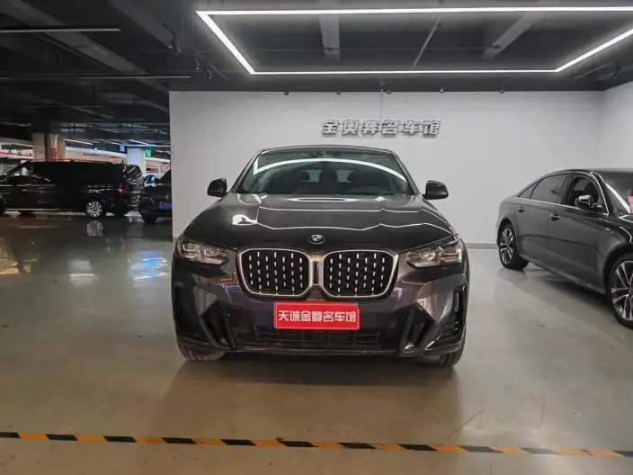 BMW X4 2022 Model xDrive 25i M Sports Set