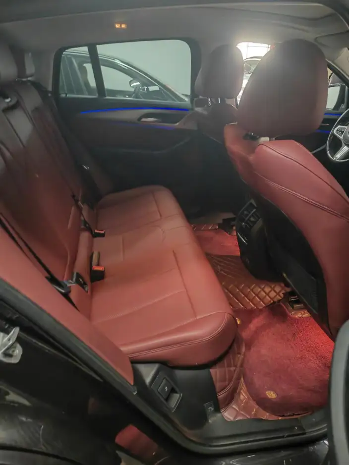 BMW X4 2022 Model xDrive 25i M Sports Set – фото 10