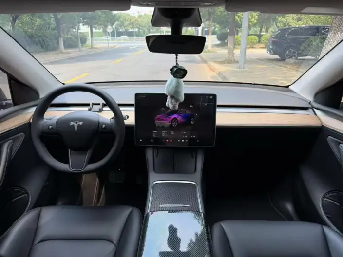 Model Y 2022 Model Rear-wheel drive version – фото 5