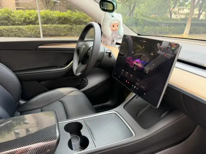 Model Y 2022 Model Rear-wheel drive version – фото 6