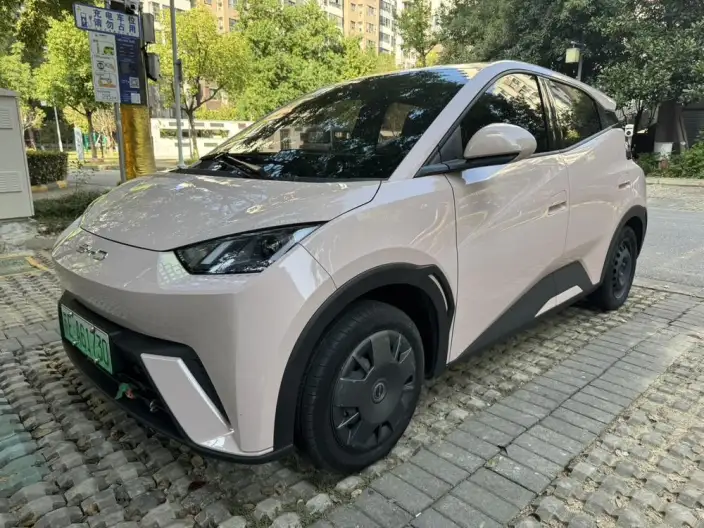 BYD Seagull 2023 Model Vitality Edition – фото 1