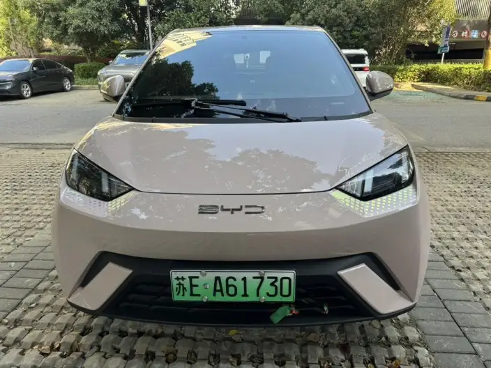 BYD Seagull 2023 Model Vitality Edition – фото 2
