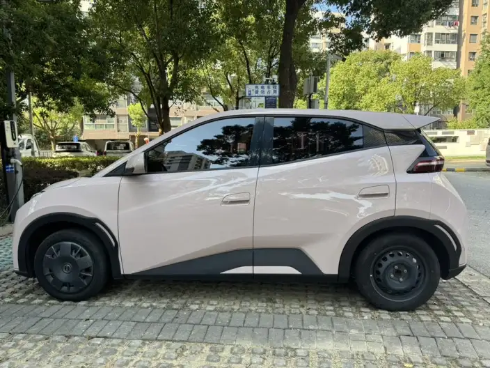 BYD Seagull 2023 Model Vitality Edition – фото 4