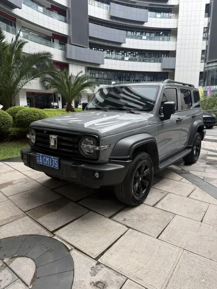 Tank 300 2024 Model 2.0T Challenger – фото 1