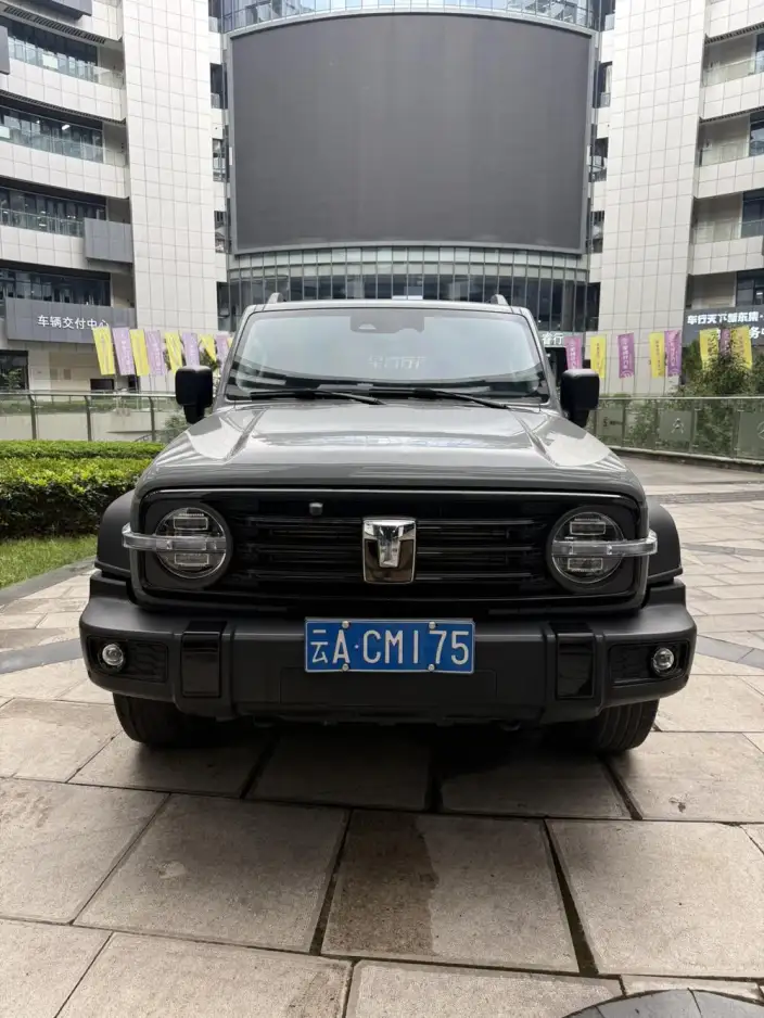 Tank 300 2024 Model 2.0T Challenger – фото 2