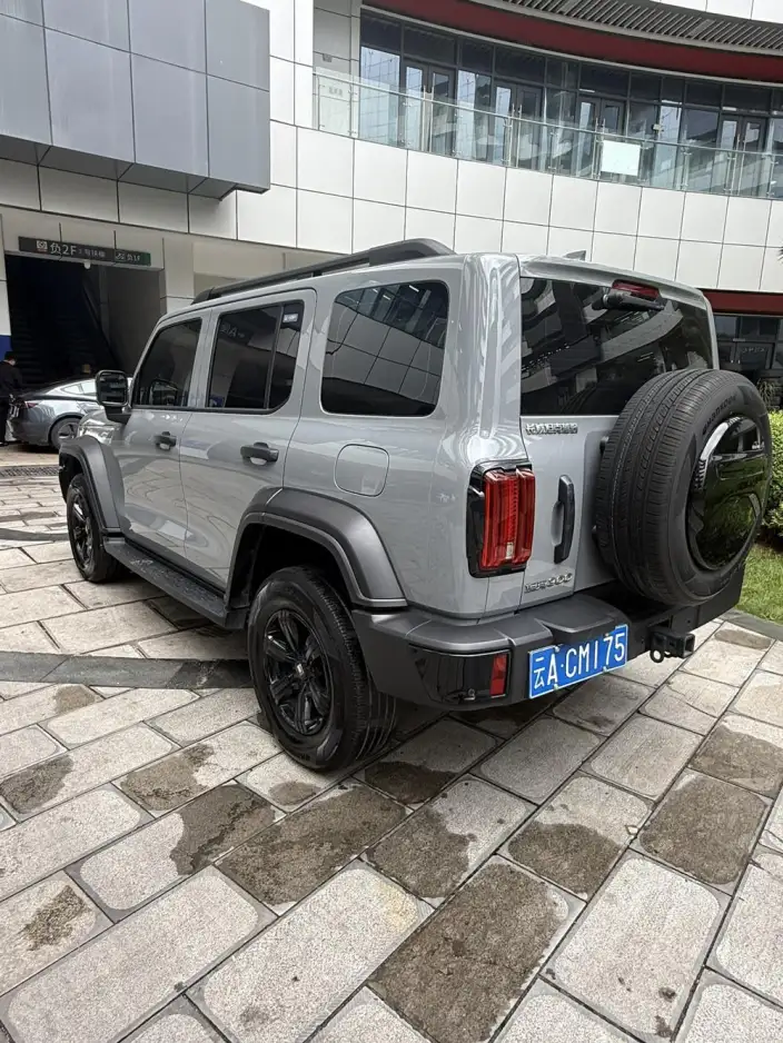 Tank 300 2024 Model 2.0T Challenger – фото 5