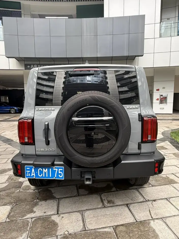 Tank 300 2024 Model 2.0T Challenger – фото 6